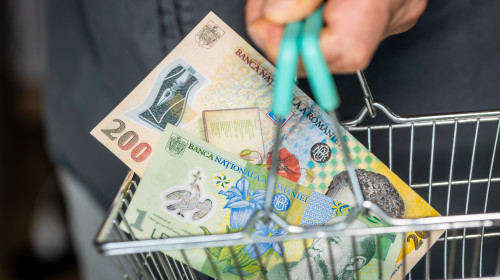 Romania,Money,In,Shopping,Cart.,A,Man,Holding,A,Basket