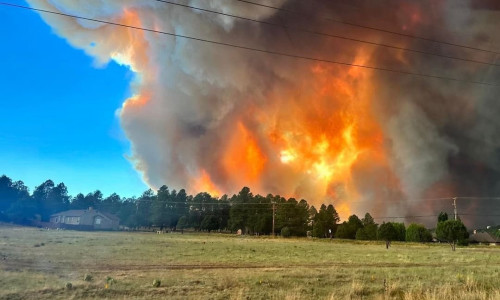 Cel puţin 7.000 de oameni au fost evacuaţi din cauza incendiilor din New Mexico/ Foto: X