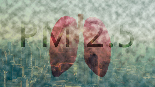 Fog,Or,Haze,Combined,With,Smoke,And,Other,Atmospheric,Pollutants