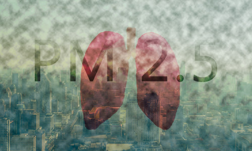Fog,Or,Haze,Combined,With,Smoke,And,Other,Atmospheric,Pollutants