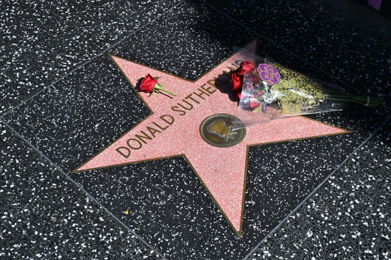Flowers are placed on the star of late Canadian actor Donald Sutherland on the Hollywood Walk of Fame, on June 20, 2024 in Hollywood. Donald Sutherland, the enigmatic actor whose lengthy career encompassed films including 