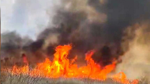 Incendiu de vegetaţie în apropiere de A2 / Foto: News.ro