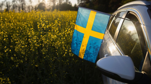 car drives off-road through a blooming yellow rapeseed field on a sunny day. A Swedish flag sticks out of the car window. National symbol of freedom a