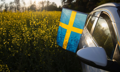 car drives off-road through a blooming yellow rapeseed field on a sunny day. A Swedish flag sticks out of the car window. National symbol of freedom a