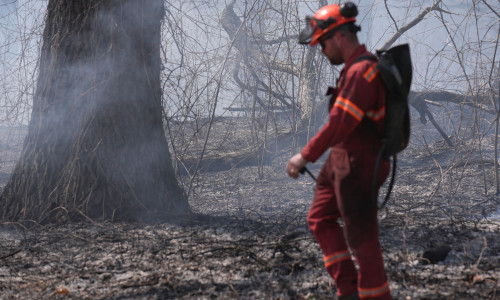 incendii de vegetatie grecia
