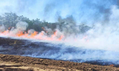Incendiu de proporţii în Vaslui/ Foto: News.ro