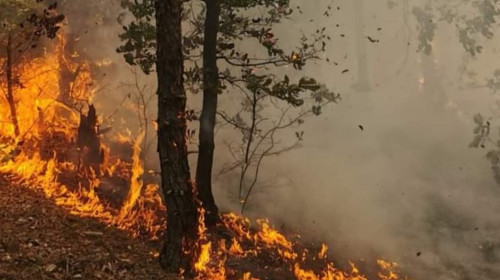 incendiu de padure mehedinti