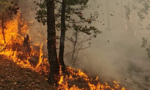 incendiu de padure mehedinti