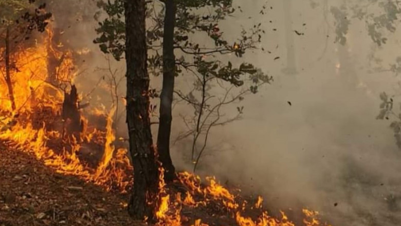 incendiu de padure mehedinti