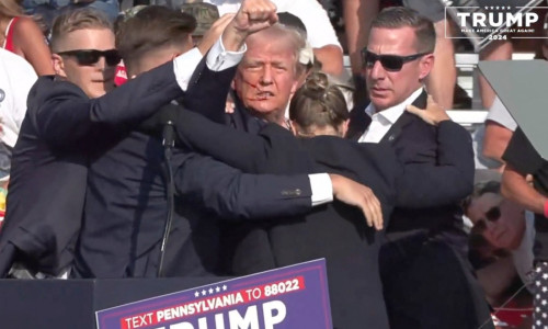 trump (28)