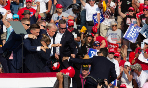 trump (38)