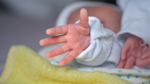 The,Newborn,Baby's,Hand,Reaches,Out,As,If,Trying,To