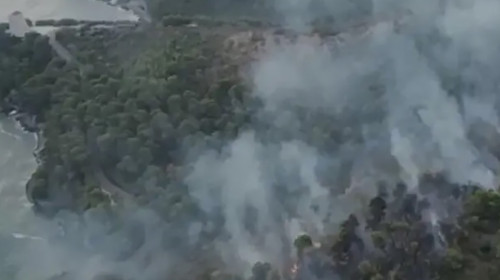 Incendiu de vegetație în Puglia/ Profimedia