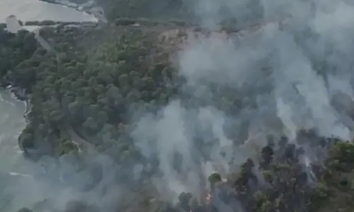 Incendiu de vegetație în Puglia/ Profimedia
