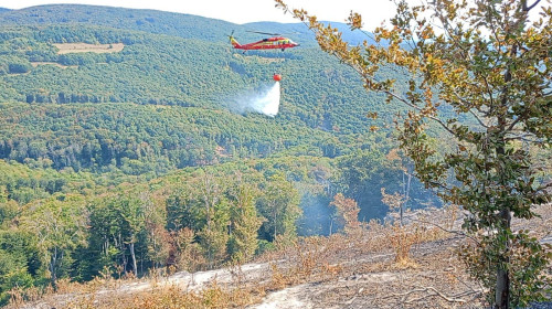 elicopter black hawk