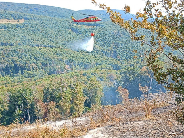 Două elicoptere Black Hawk, folosite în stingerea incendiilor de pădure din Prahova şi Vâlcea