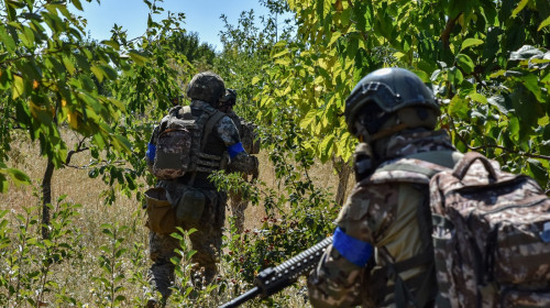 Ukrainian serviceman of 141st Separate Infantry brigade, Zaporizhzhia - 15 Aug 2024