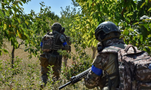 Ukrainian serviceman of 141st Separate Infantry brigade, Zaporizhzhia - 15 Aug 2024