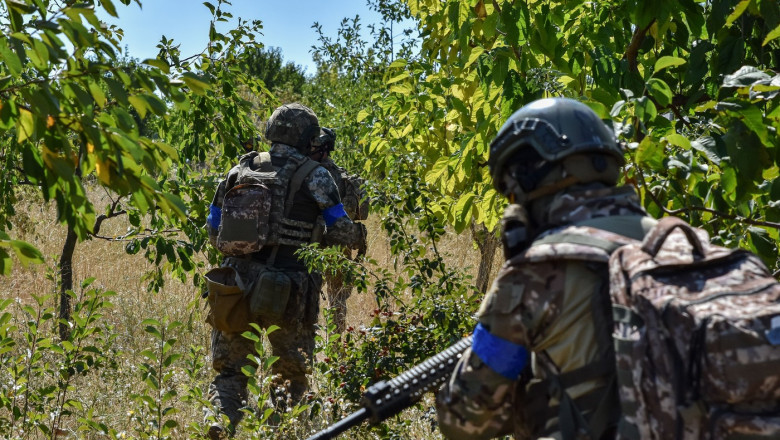 Ukrainian serviceman of 141st Separate Infantry brigade, Zaporizhzhia - 15 Aug 2024