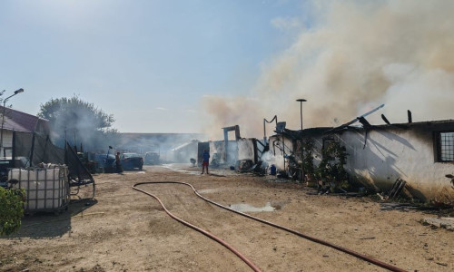 Un adăpost de animale din Olt a fost distrus într-un incendiu/ Foto: News.ro