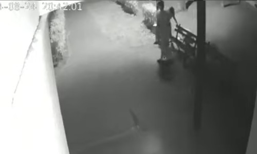 Tineri filmati cand fura o banca