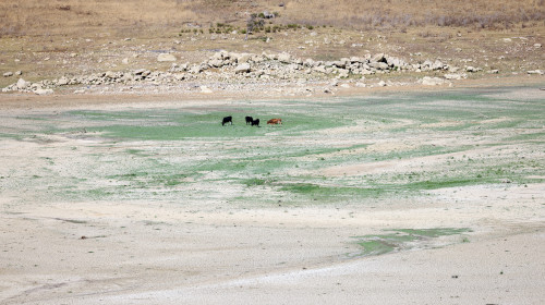 DROUGHT IN SICILY LAKE POMA IS DISAPPEARING