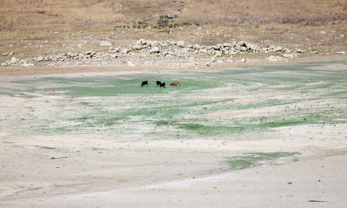 DROUGHT IN SICILY LAKE POMA IS DISAPPEARING