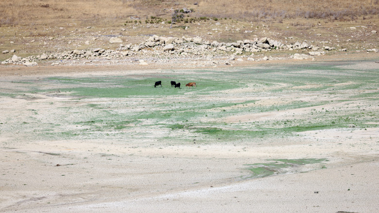 DROUGHT IN SICILY LAKE POMA IS DISAPPEARING