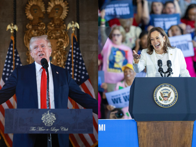 Alegeri SUA 2024, intenții de vot. Kamala Harris îşi măreşte avansul faţă de Donald Trump, potrivit unui sondaj Reuters/Ipsos