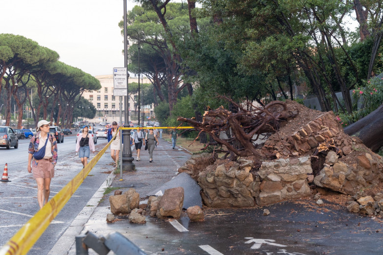 Italy: Fallen Trees in Rome