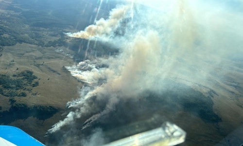 Nou incendiu de vegetaţie în Maramureş/ Foto: News.ro