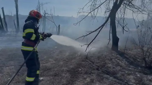 Incendiu de vegetaţie uscată în Parcul IOR din Capitală/ Foto: News.ro