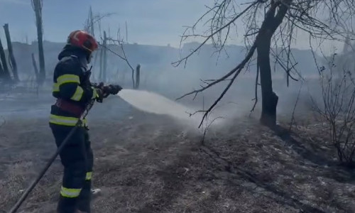 Incendiu de vegetaţie uscată în Parcul IOR din Capitală/ Foto: News.ro