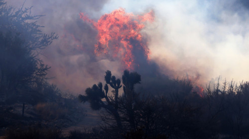 Incendiile fac ravagii în California/ Profimedia