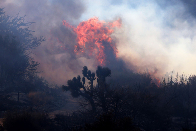 Incendiile fac ravagii în California/ Profimedia