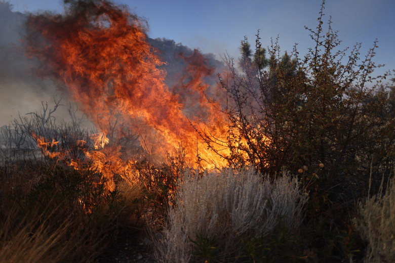 Incendiile fac ravagii în California/ Profimedia