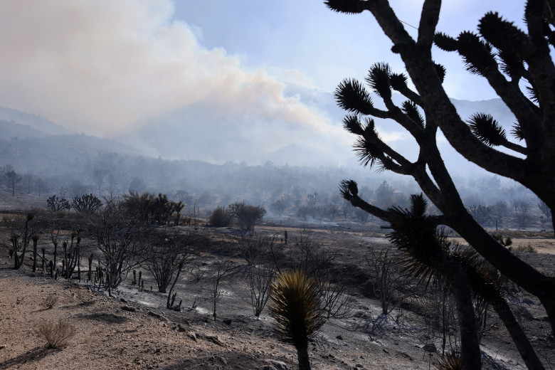 Incendiile fac ravagii în California/ Profimedia