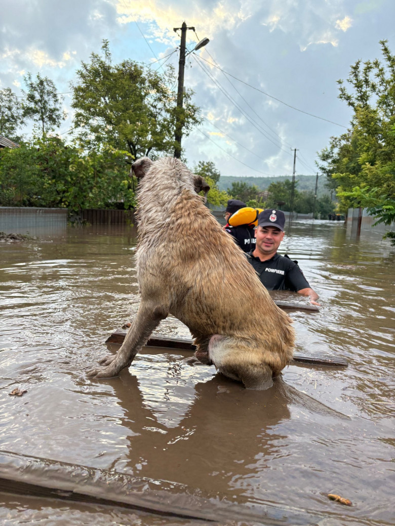 inundatii galati (5)