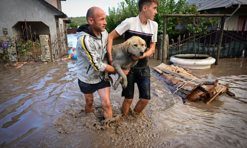 inundatii galati (14)