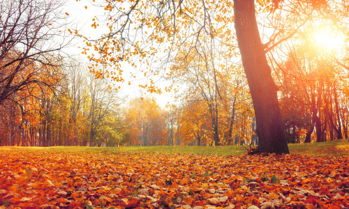 Prognoza meteo octombrie/ Shutterstock