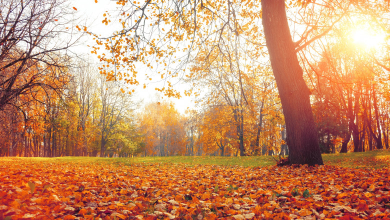 Prognoza meteo octombrie/ Shutterstock