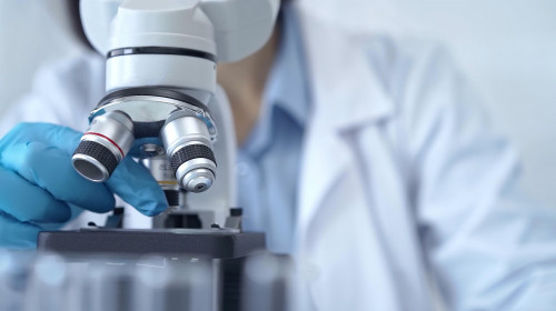 Scientist,Using,Microscope,In,Laboratory.,Close-up,Of,A,Researcher's,Hands