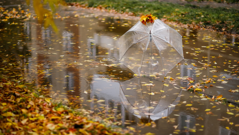 Umbrella,On,Rainy,Day,-,The,Raindrops,Falling,On,An