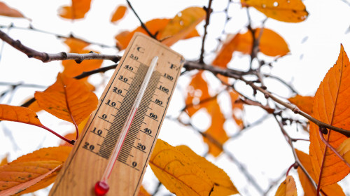 Thermometer,And,Yellow,Leaves,,Concept,Of,Autumn,Weather