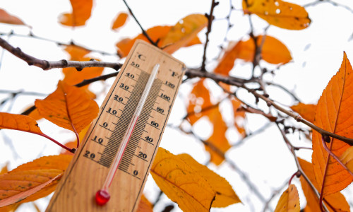 Thermometer,And,Yellow,Leaves,,Concept,Of,Autumn,Weather