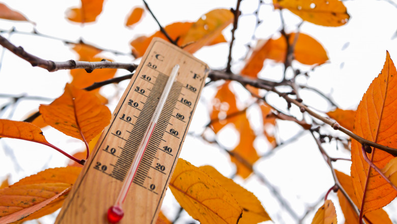 Thermometer,And,Yellow,Leaves,,Concept,Of,Autumn,Weather