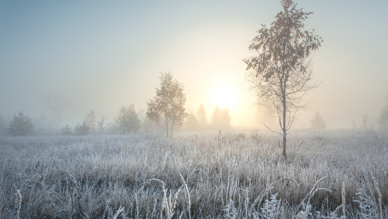 Stunning,Autumn,Sunrise,Landscape,With,Birch,Tree,On,A,Foggy