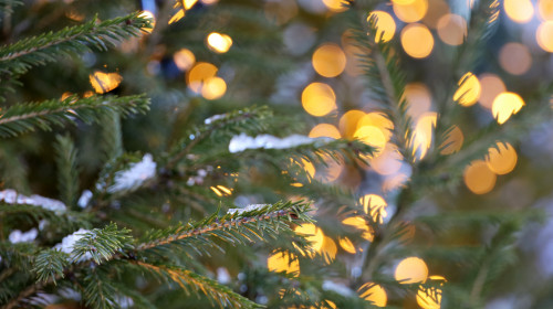 Defocused,View,To,Golden,Lights,Of,Festive,Illumination,On,A