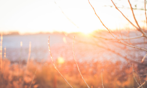 Sunset,Or,Sunrise,In,A,Winter,Park,With,Trees,Covered