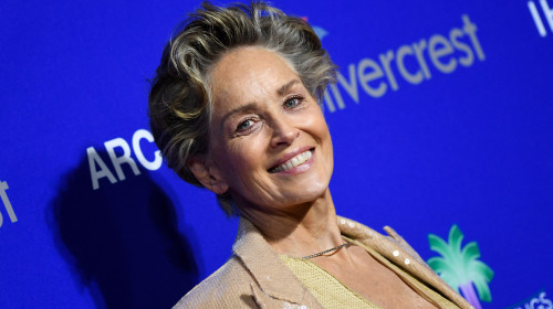 sharon stone (31)